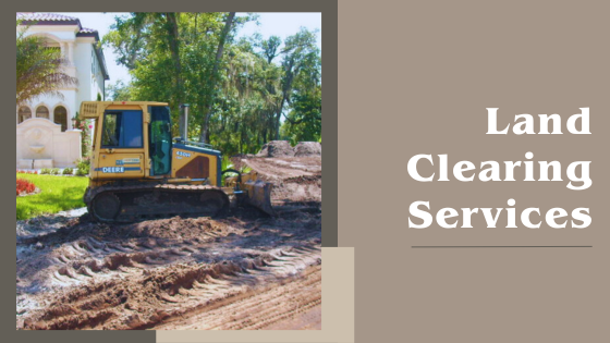 The Importance of Professional Rio Grande Valley Land Clearing Services